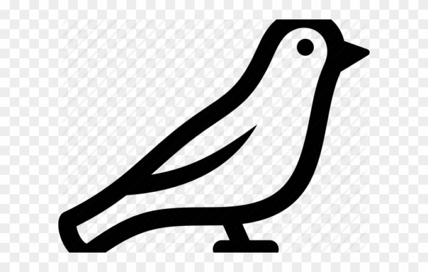 Finch Clipart Sparrow - Illustration - Png Download