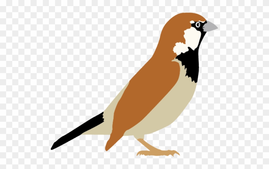 Sparrow Clipart Transparent Background - Sparrow Clipart Png
