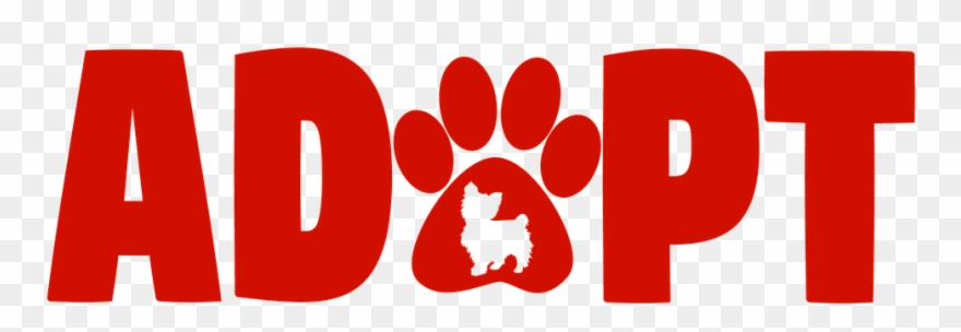 Meet Charlie Sweet Charlie Is A Happy Go Lucky Snuggle - Adopt A Pet Transparent Clipart