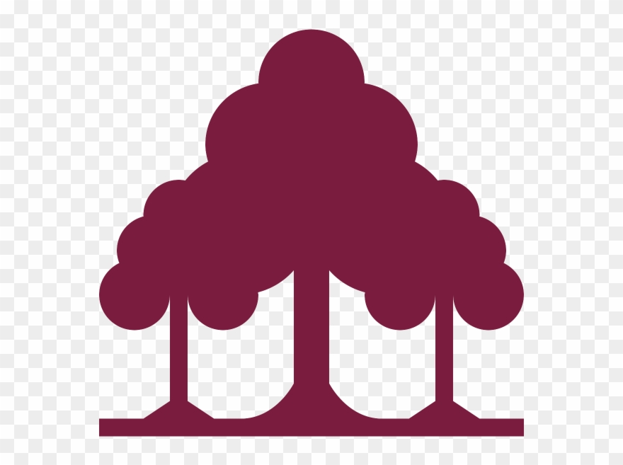 The Us Has Over 18 Million Acres Of State Park Land - United States Of America Clipart