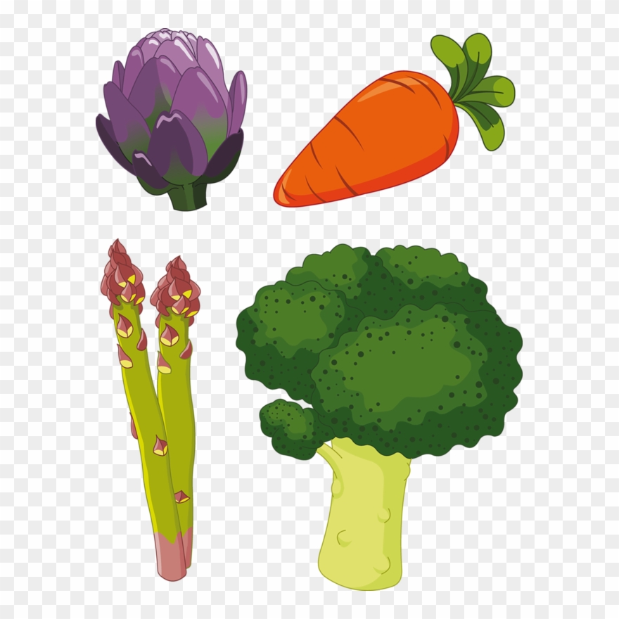 Artichoke Drawing Modeled Clipart