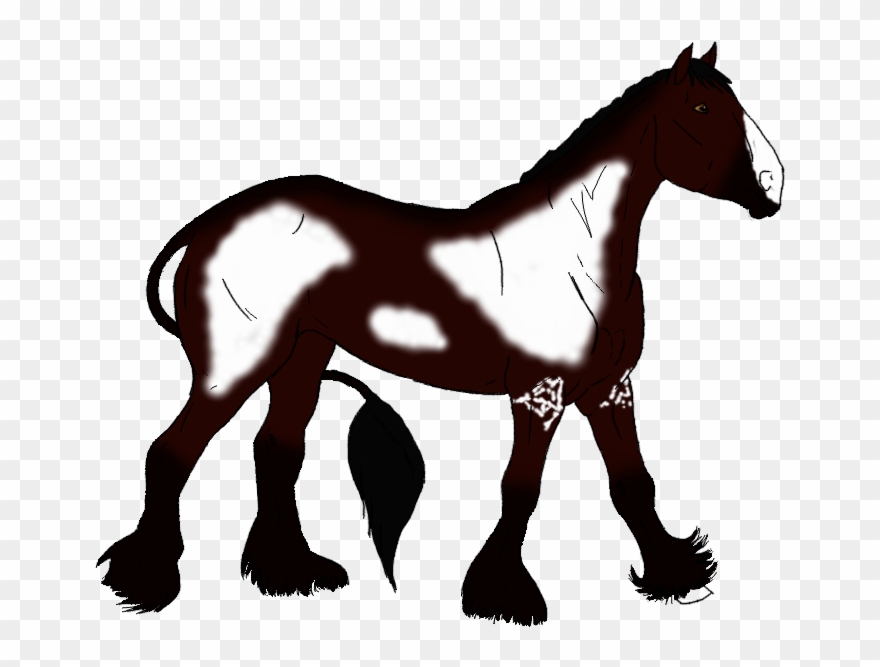 Cherry Pie Picture - Stallion Clipart