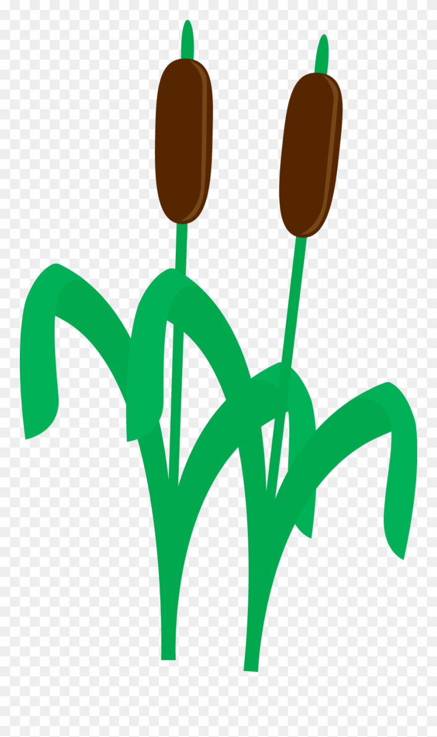 Photo By @danimfalcao - Pond Life Clip Art - Png Download