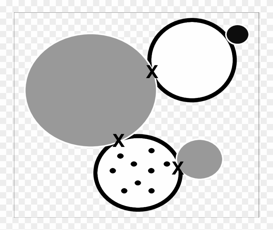 Ni 0 , Nio And Ceo 2 Or Cerium And Nickel Solid Solution - Circle Clipart