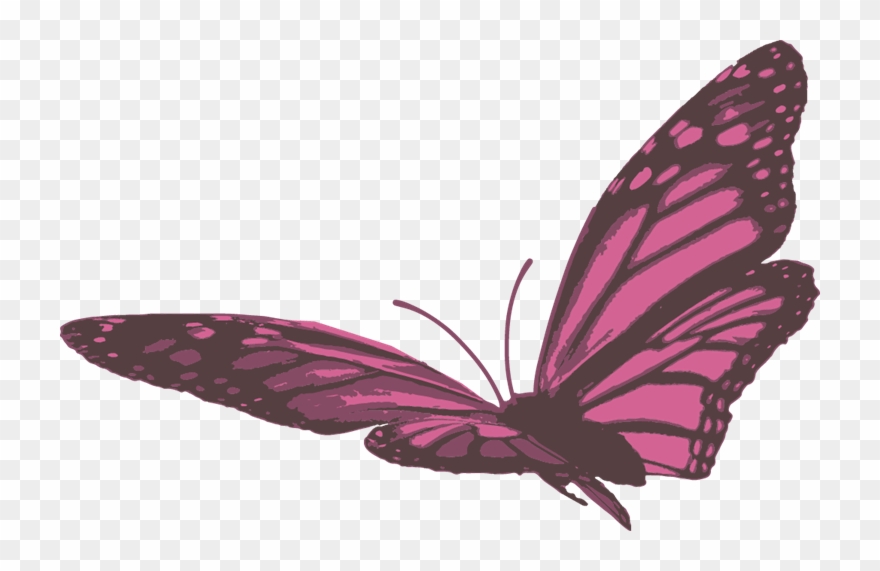 Angels And Crystals Sanctuary - Wire Wrapped Dangle Earrings Clipart