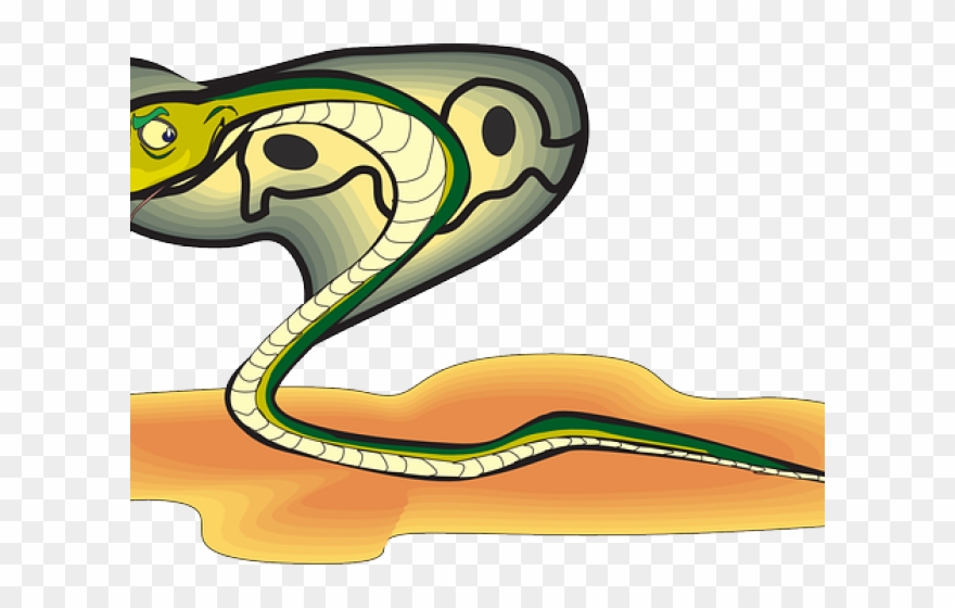 Gif Animados De Animales Reptiles Clipart