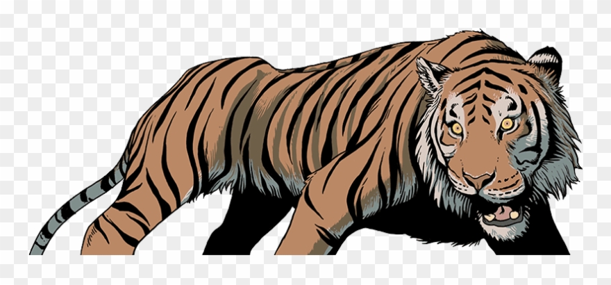 Clipart Tiger Wild Animals - Tiger - Png Download