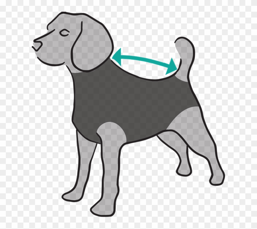 Cats - Cartoon Dog Recovering From Surgery Clipart