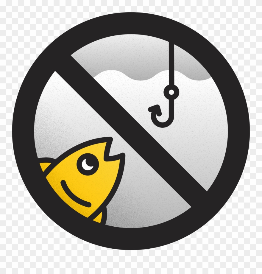 Plagas De Insectos Dibujos Clipart