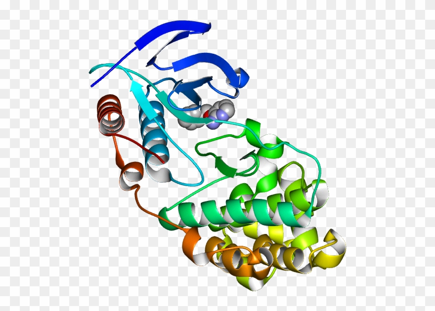 No Rotation Molmil Generated Image Of 1w7h - Illustration Clipart