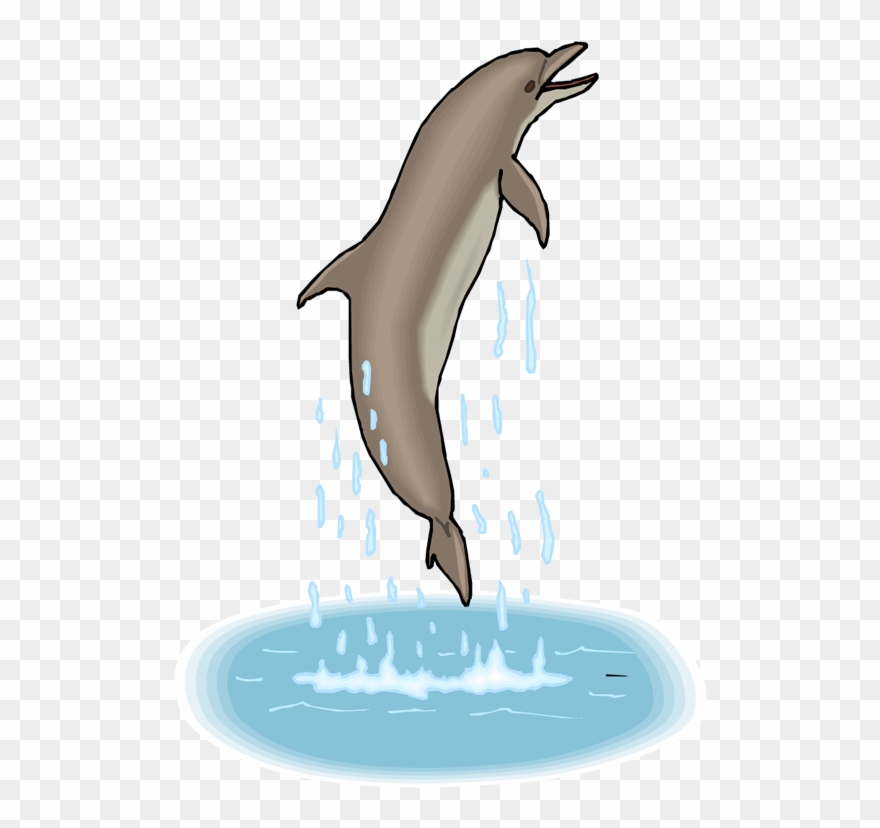 Dolphin Dance - Gif Dolphin Png Clipart