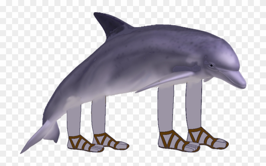 Bottlenose Dolphin Clipart Copyright Free - Dolphin With Arms And Legs - Png Download