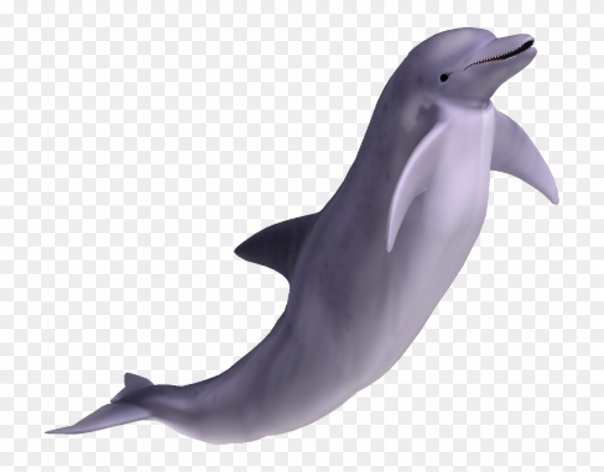 Dolphins Clipart Clear Background - Dolphin Png Transparent Png