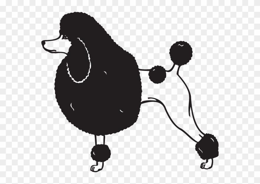 Cartoon Poodle Clipart