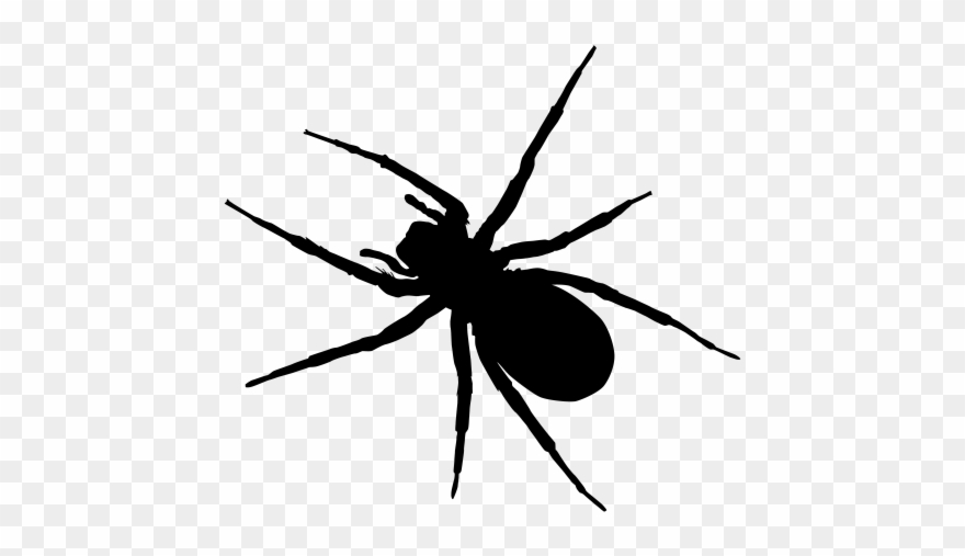 Spider Clipart Ant - Insects Silhouette In Black And White - Png Download