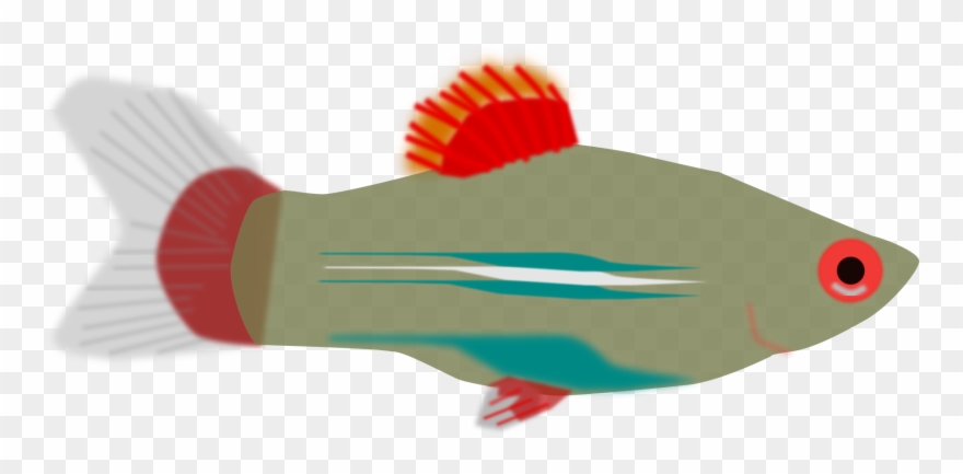 Full Size 1745 × 781 Pixels - Illustration Clipart