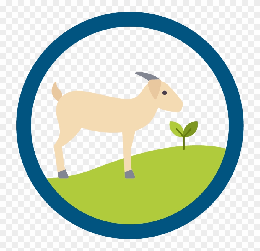 Tapestry Expeditionary Learning Icon - Expeditionary Learning Schools Clipart