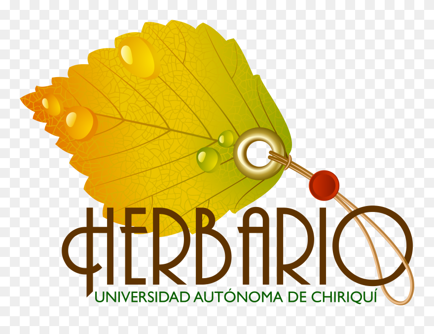 Osmoglossum Egertonii Schltr - Posterazzi Beer-no Great Story Ii Canvas Art - Anna Clipart