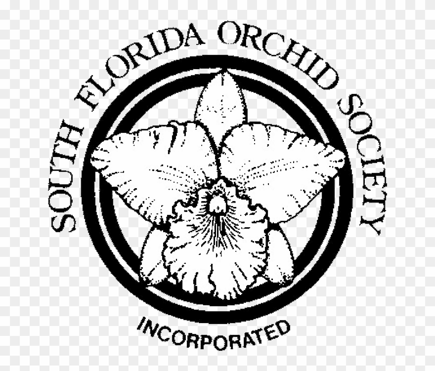 South Florida Orchid Society Clipart