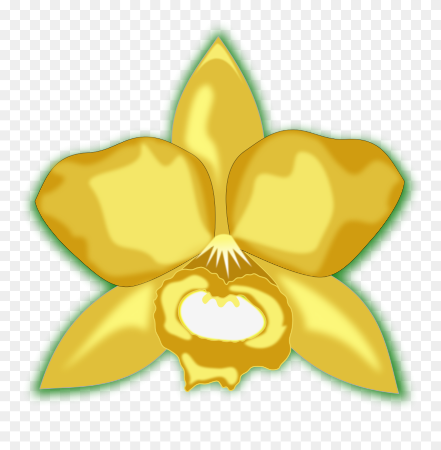 Clip Arts Related To - Cattleya Clipart - Png Download
