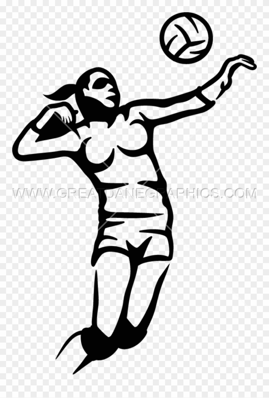 Clipart Volleyball Vector - Drawing - Png Download