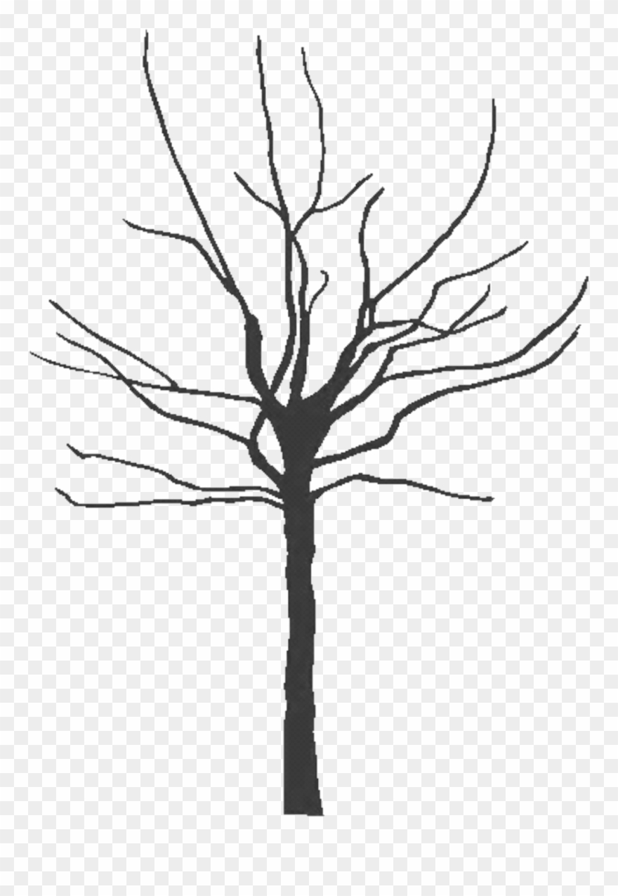 Pictures Of Bare Trees Clipart - Tree Silhouette Icon Vector - Png Download