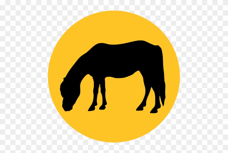 Cowboy Joe - Horse Clipart