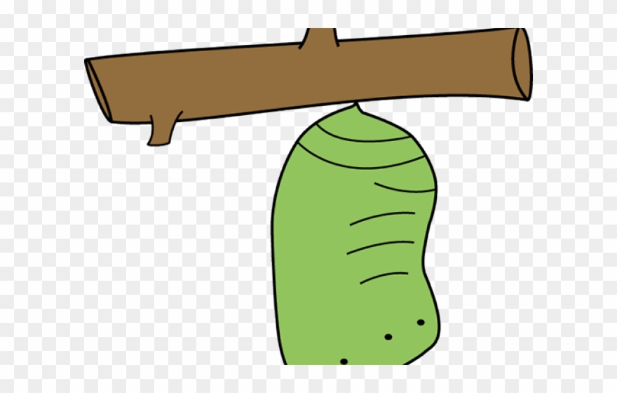 Chrysalis Cliparts - Cocoon Butterfly Clipart Free - Png Download