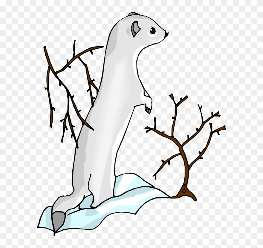 Sea Otter Clip Art - Clip Art - Png Download