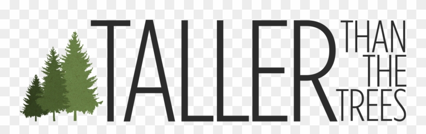 Jan Serr Studio Cinema Clipart