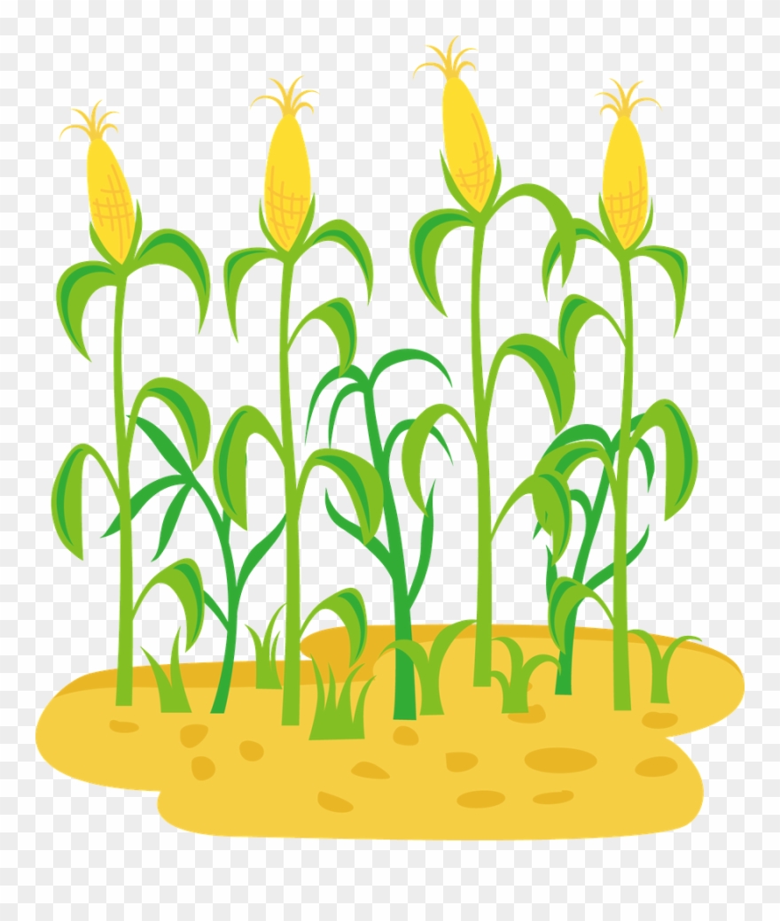 Farm Clipart Flower - Fazendinha - Png Download