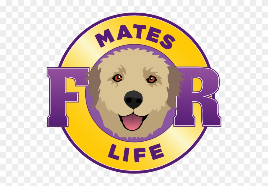 Canine Massage Clipart