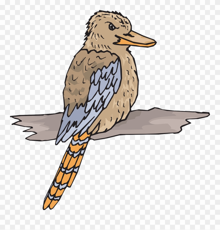 Kookaburra Bird, Wood, Wings, Animal, Beak, Feathers, - Kookaburra Clipart Png Transparent Png