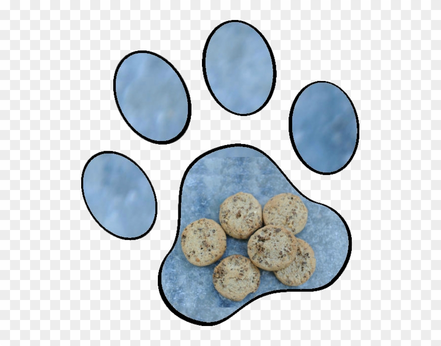 Healthy Pet Treats - Bizcochito Clipart