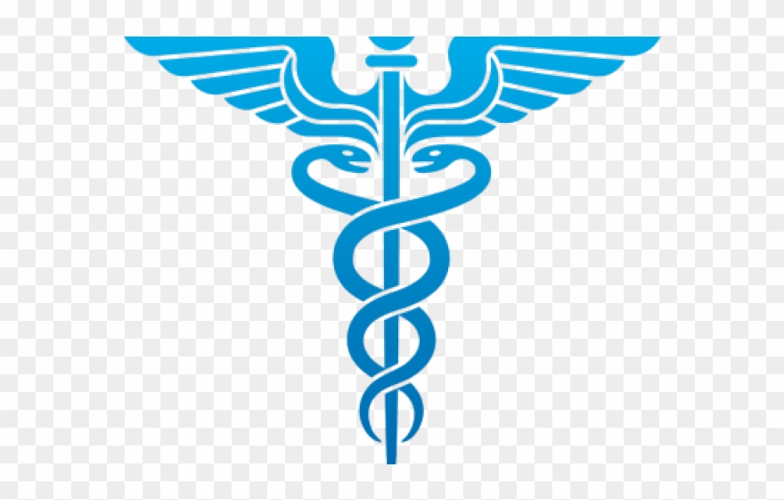 Doctor Symbol Clipart Transparent Background - Veterinarian Symbol - Png Download