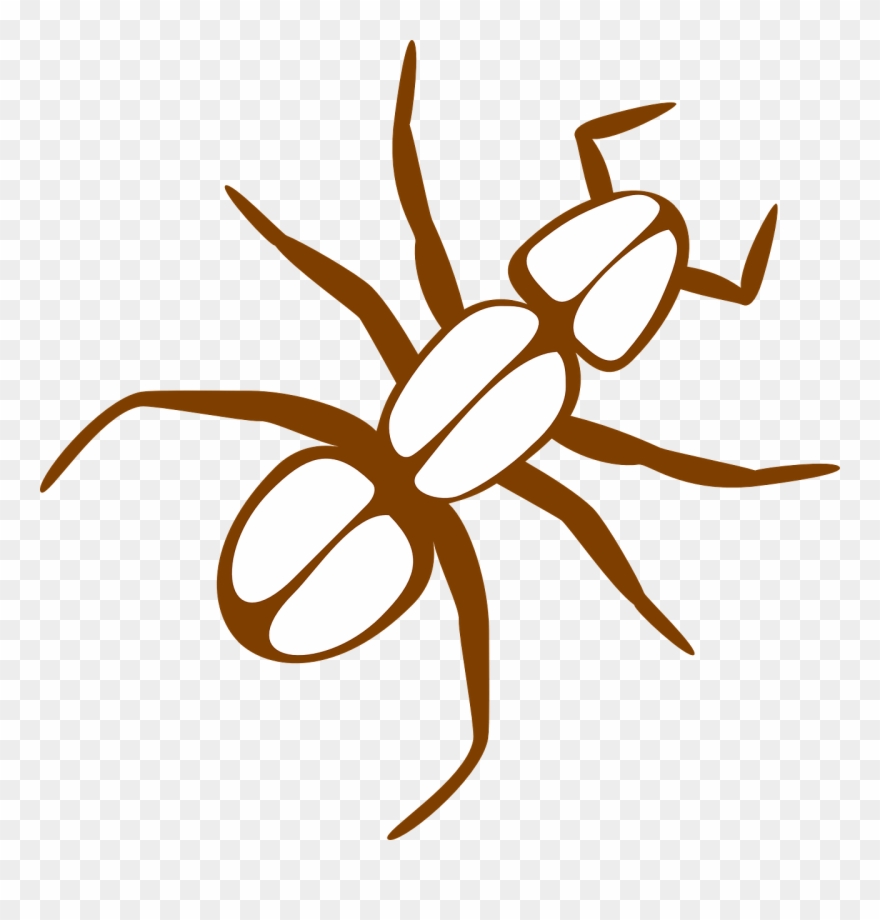 Legs Clipart Ant - Ant Clip Art - Png Download
