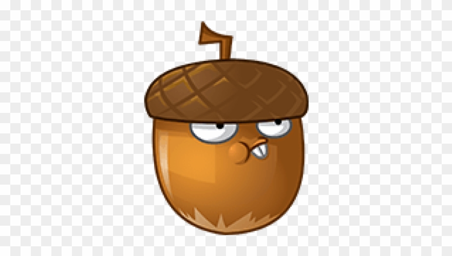 Acorn Clipart