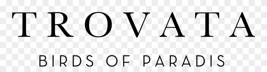 Trovata Birds Of Paradise Logo Clipart