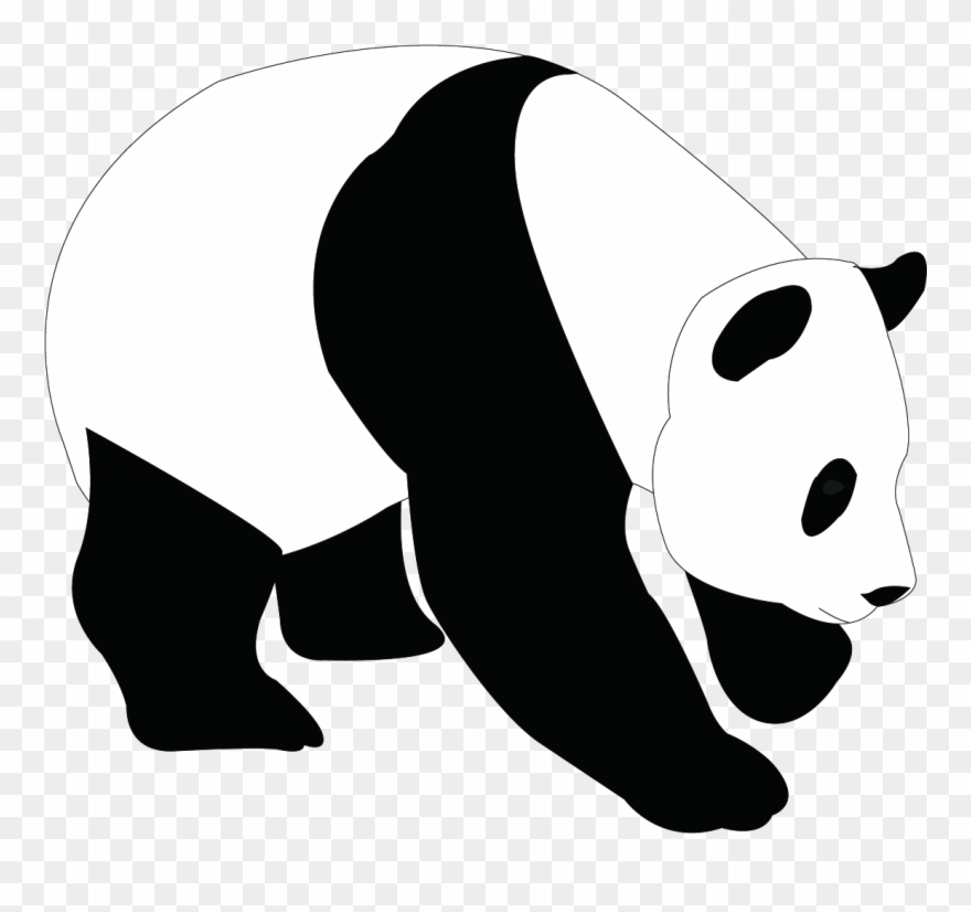 Download panda silhouette png  panda head vector mmfcl download clipart