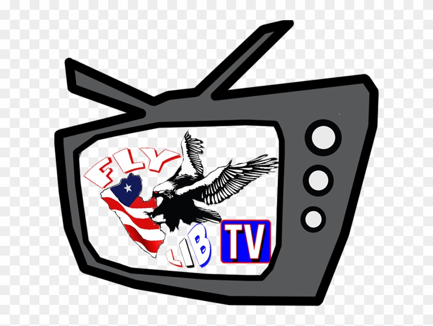 Flylib King Falcon Bird Vinyl Wall Art Decal Sticker