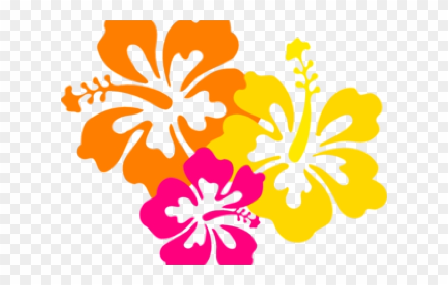Flowers Borders Clipart Hibiscus - Hawaiian Flowers Clipart Png Transparent Png