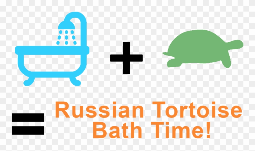 How To Bathe A Russian Tortoise - Russian Foreign Policy, 1994-1998: Charting An Independent Clipart