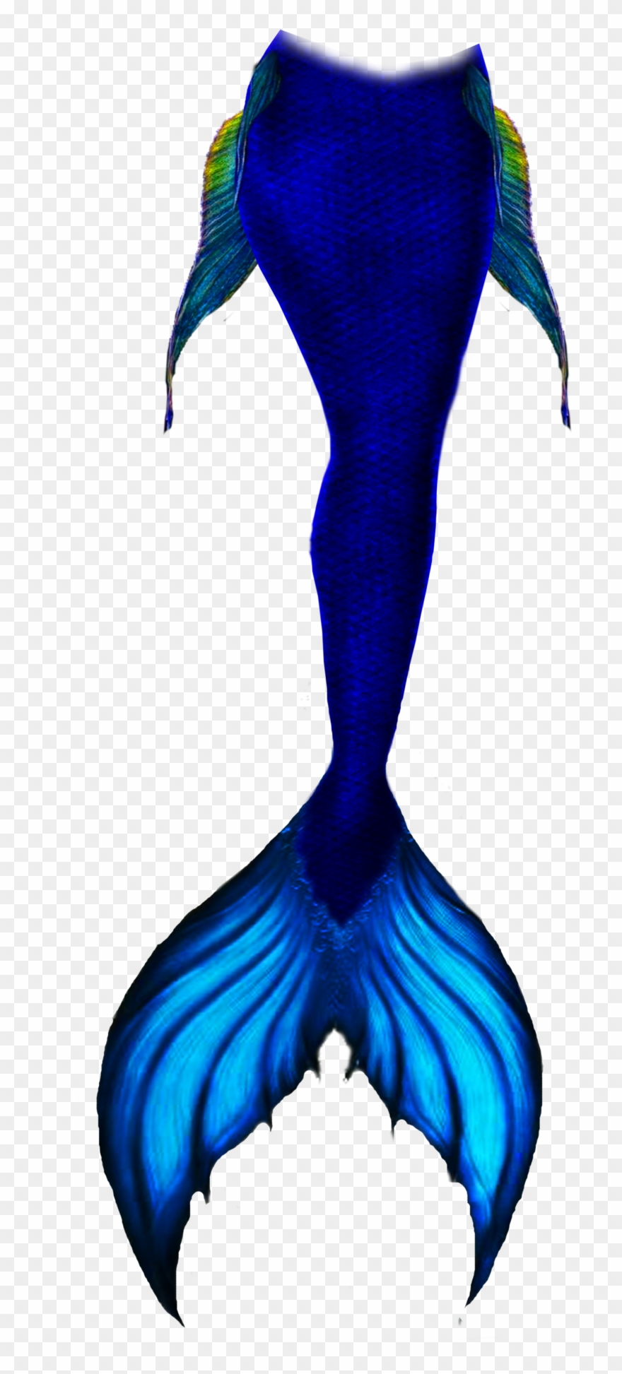 Mermaidtail Mermaid Sirentail Remixit - Mythical Creature Mermaid Tail Drawing Clipart