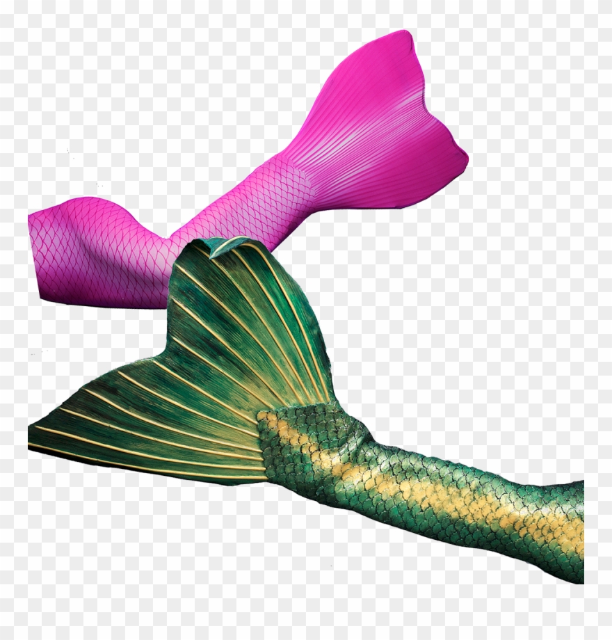 Get Your Professional Fabric Or Silicone Mermaid Tail - Mermaid Clipart