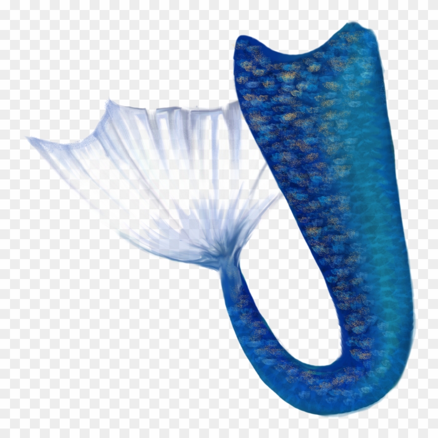 Marmand/fish Hd Clip Art - Transparent Mermaid Tails - Png Download
