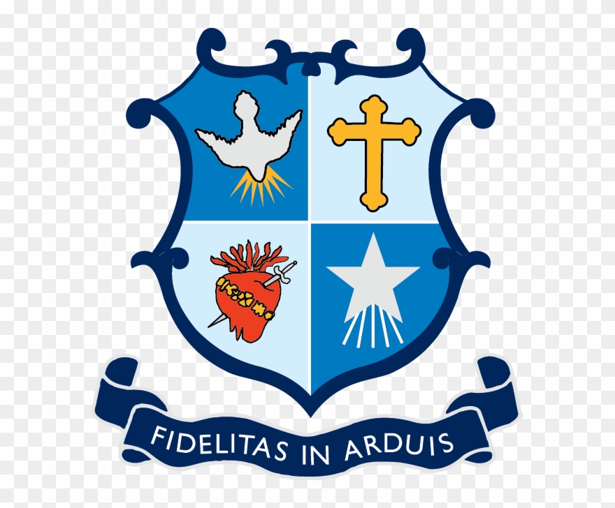 Mary's College Rfc - St Mary's College Rfc Clipart