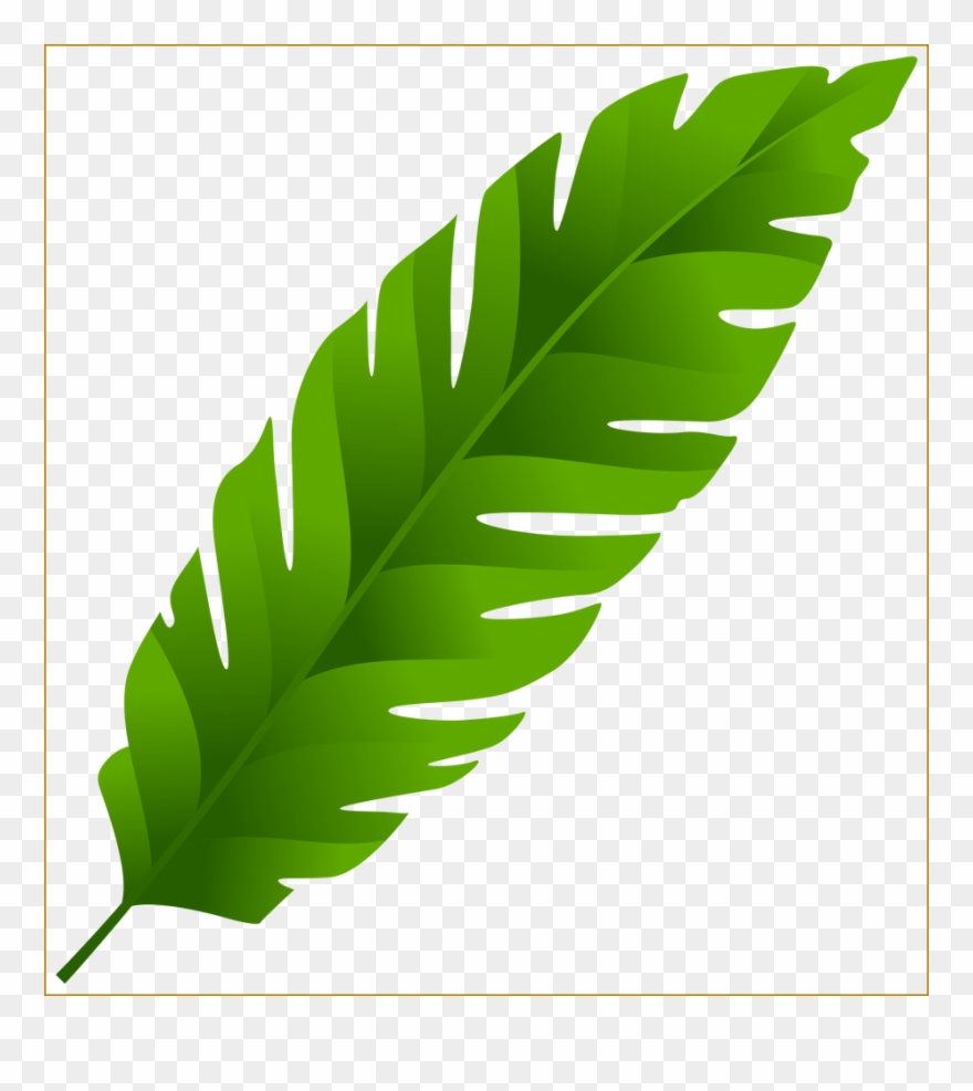 Inspiring Banana Fetr Clip Art Pict For - Tropical Leaves Clip Art Png Transparent Png