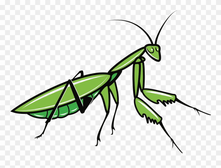 Praying Mantis - Praying Mantis Clipart - Png Download
