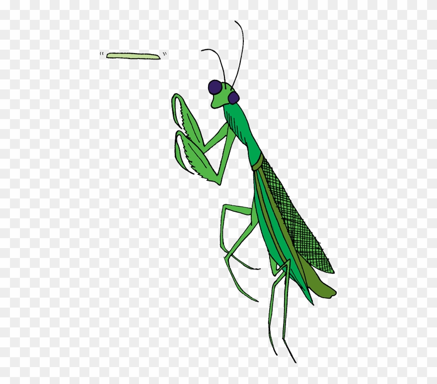Mantis - Transparent Praying Mantis Clip Art - Png Download