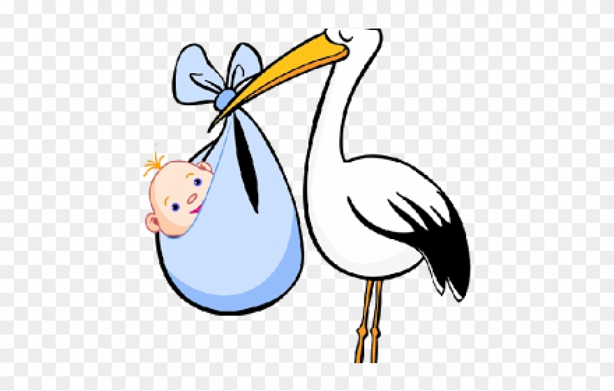 Delivery Clipart Transparent Background - Bird Carrying Baby - Png Download
